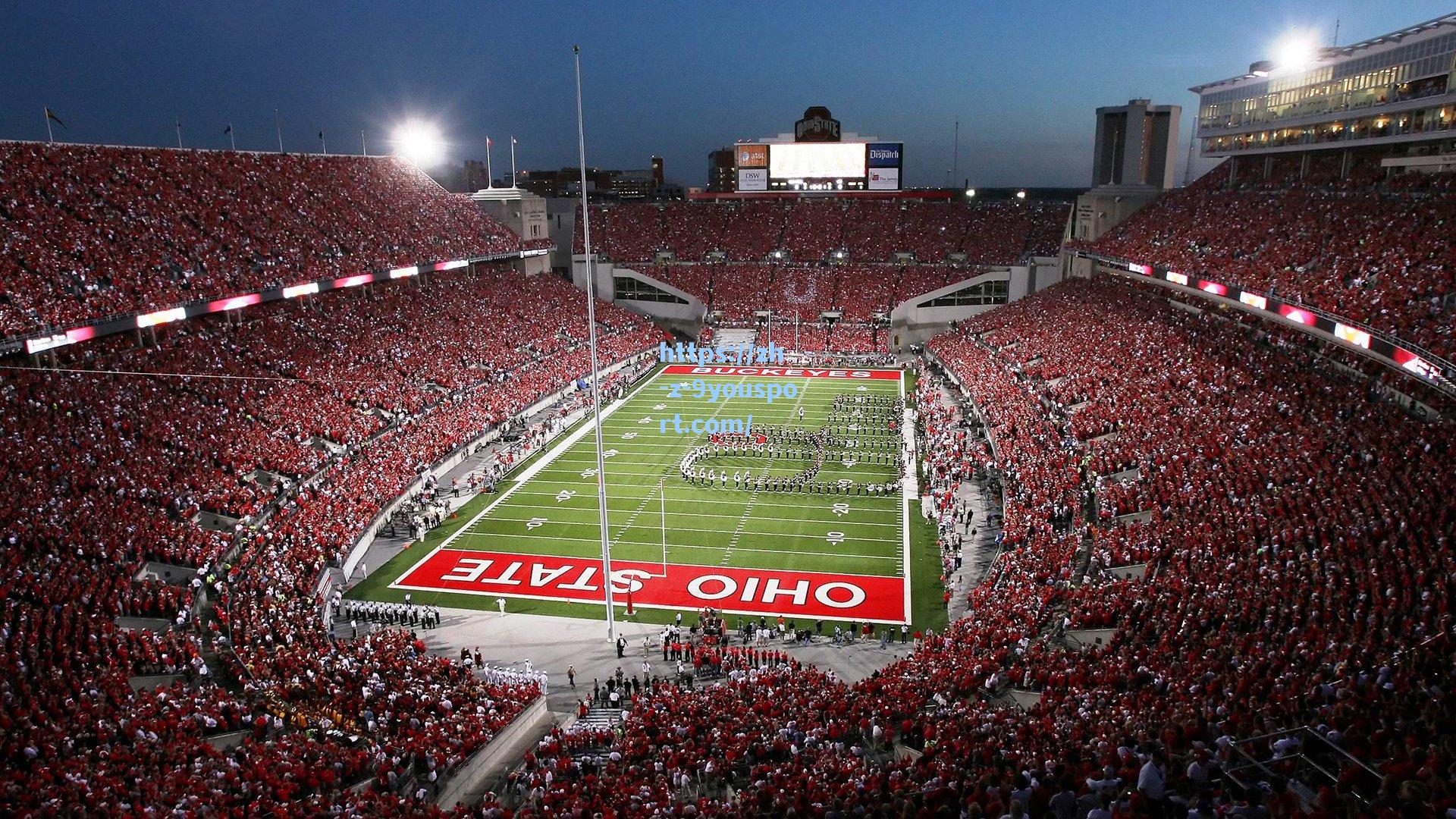 从低谷到巅峰，伤病康复背后的坚韧与科学