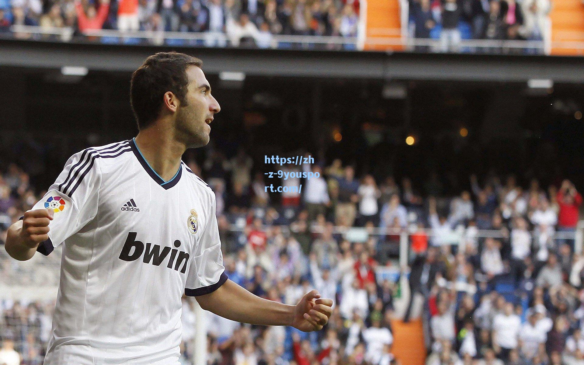 德甲联赛激战正酣,拜仁慕尼黑与勒沃库森上演巅峰对决